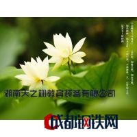 湖南天之翊贸易